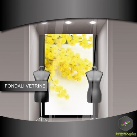 fondale vetrine - Mimosa