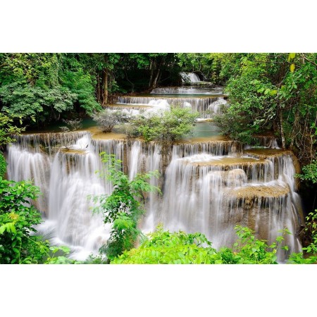 cascate foresta tropicale - adesivo murale