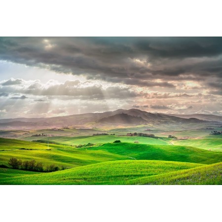 paesaggio in toscana - adesivo murale